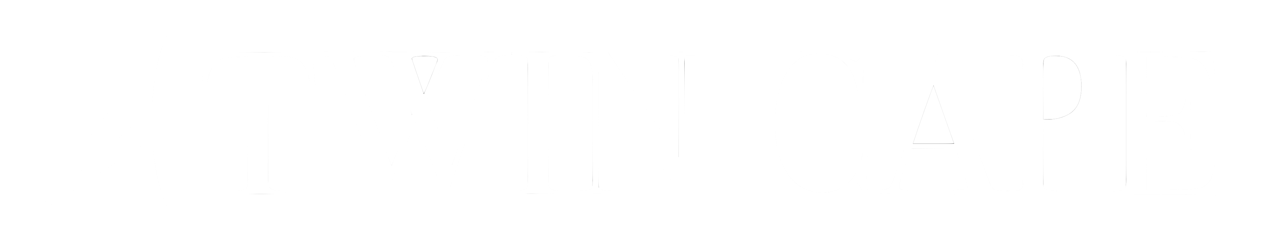 Twin Cape Asset Management - Investment Management